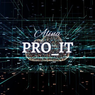 Logo of the Telegram channel Alina Pro IT