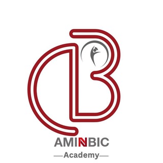 Logo of the Telegram group AMINBIC Academy