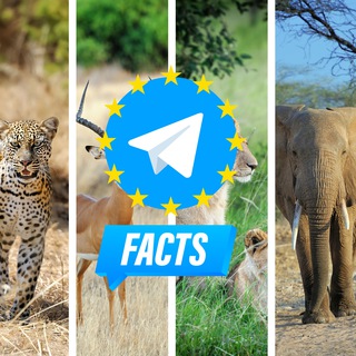 Логотип телеграм канала Facts about animals on Telegram - Fatti sugli animali - Faits sur les animaux - Hechos sobre animales - Fakten über Tiere