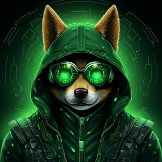 Logo of the Telegram channel AnonSHIBA || BSC $ASHIBA Portal