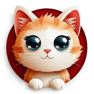 Logo of the Telegram group BabyCat_BSC 中文社区