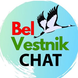 Логотип телеграм группы BelVestnik_Chat