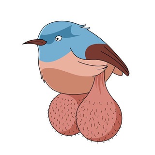 Logo of the Telegram bot BIG BALLS BIRDS BOT