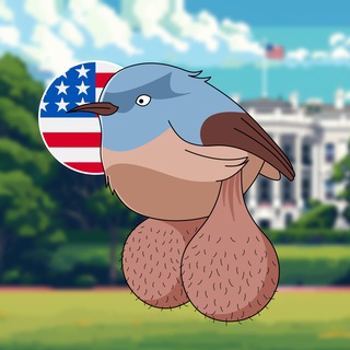 Логотип телеграм группы BIG BALLS BIRDS CHAT 🇺🇸