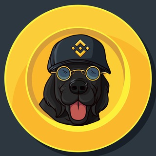 Логотип телеграм канала Binance Dog Entrance