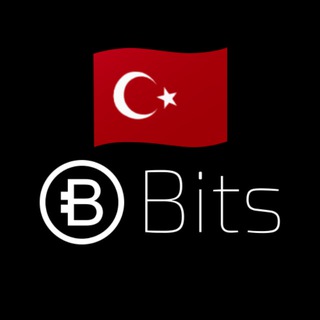 Логотип телеграм группы TURK BITS Chat