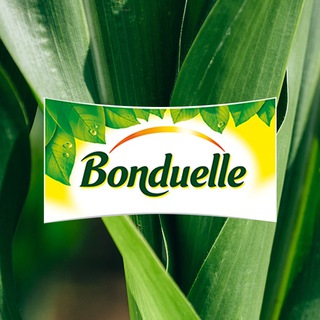 Logo of the Telegram channel Bonduelle