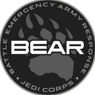 Логотип телеграм группы BRIGADA "BEAR"