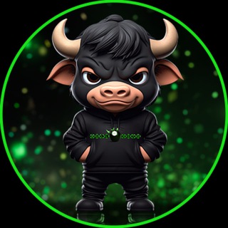 Логотип телеграм группы Bull Run Bets Official Chat