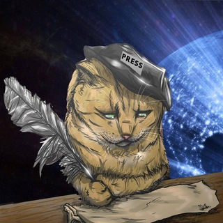 Logo of the Telegram channel CatNews