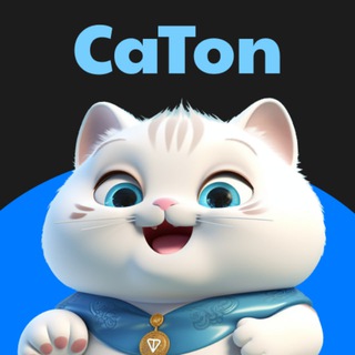 Logo of the Telegram channel CaTon😸