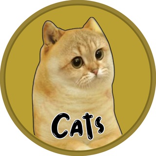 Логотип телеграм канала Cats $CATS