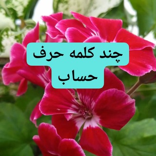 Logo of the Telegram channel چند کلمه حرف حساب