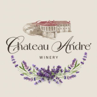 Logo of the Telegram channel Chateau_Andre