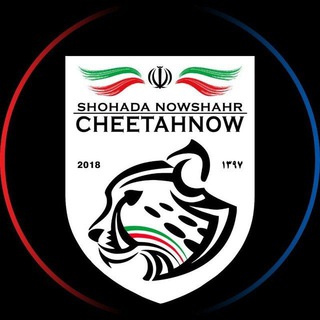 Логотип телеграм канала 💙 CHEETAHNOW ❤️