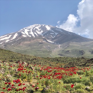 Логотип телеграм канала صعود؛ اخبار کوه‌نوردی و صعودهای ورزشی