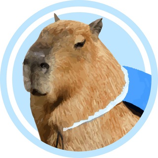 Логотип телеграм канала Capybara on Sui