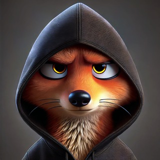 Logo of the Telegram channel Coin Explain 🦊