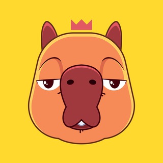 Логотип телеграм канала Capybara $CPBR