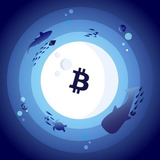 Logo of the Telegram group Crypto Aquarium 🐳