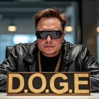 Logo of the Telegram channel D.O.G.E OFFICIAL CHANNEL