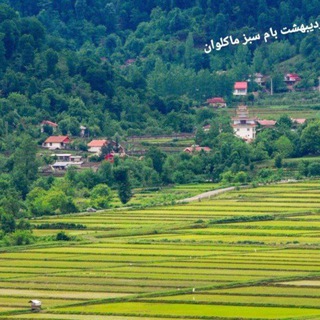 Логотип телеграм канала کانال عمومی درشهر ماکلوان کانالی برای همه تالشان