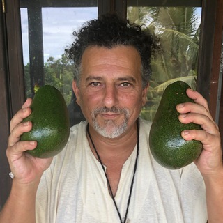 Логотип телеграм канала David Avocado Wolfe