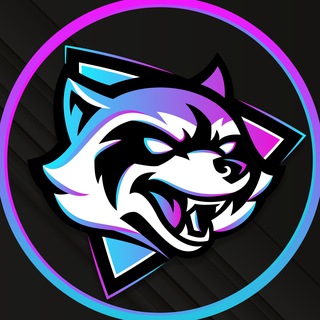 Logo of the Telegram group DeFi Raccoons 🦝