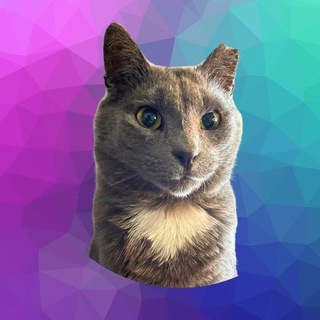 Logo of the Telegram channel diamondthecatsolana