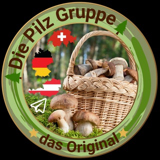 Логотип телеграм группы 🌲Die Pilz Gruppe🌲