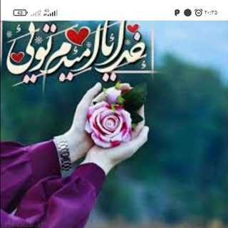 Photo of the private contact (Dina) ادمین تبادلات میشم on Telegram