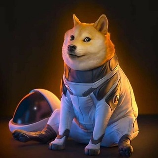 Logo of the Telegram channel $DogeX Coin