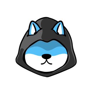 Logo of the Telegram channel DOGX Community 🦴