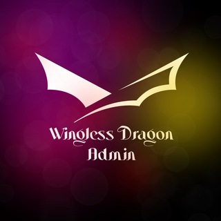 Photo of the private contact Wingless Dragon admin on Telegram