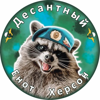 Логотип телеграм канала Енот Херсон🦝