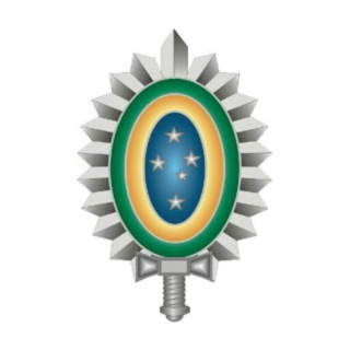 Logo of the Telegram group Exercito oficial