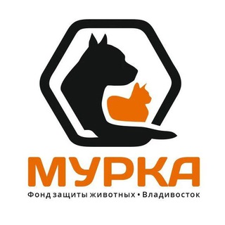 Logo of the Telegram channel Фонд Мурка