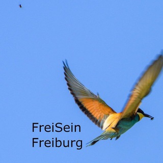 Logo of the Telegram channel FreiSeinFreiburg