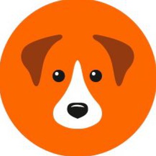 Логотип телеграм канала Getdog - муниципальный приют для собак