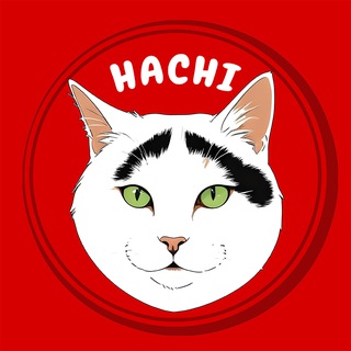 Logo of the Telegram channel Hachi The Cat Entry