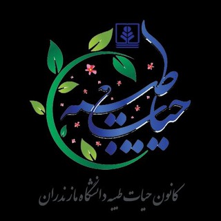 Logo of the Telegram channel اطلاع رسانی کانون حیات طیبه