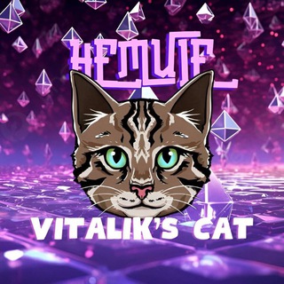 Logo of the Telegram channel Vitalik’s Cat