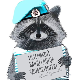 Логотип телеграм канала Енот из Херсона 🦝