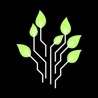 Logo of the Telegram bot Hinoki Protocol Airdrop Bot