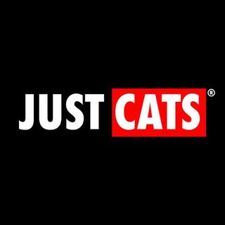 Логотип телеграм группы Just Cats