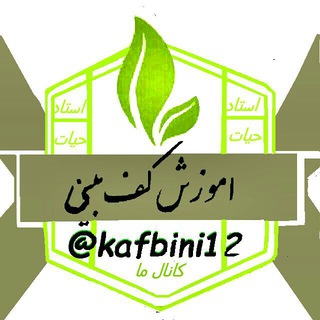 Logo of the Telegram channel کانال آموزش کف بینی