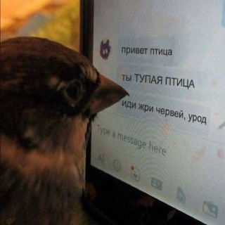 Photo of the private contact Андрей (Реклама) on Telegram