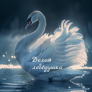 Логотип телеграм канала Женские встречи 🦢