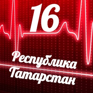 Логотип телеграм канала Мониторинг 16 Республика Татарстан