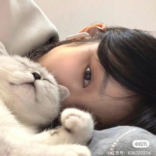 Photo of the private contact 福田 Vicky on Telegram